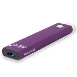 Berry Payton Runtz disposable
